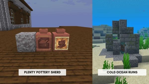 A close-up of a vibrant, healthy green plant with broad leaves.