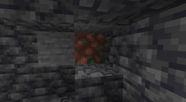 A person holding a small, brown dog.