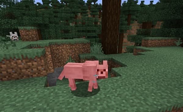 A white surface with subtle textures.