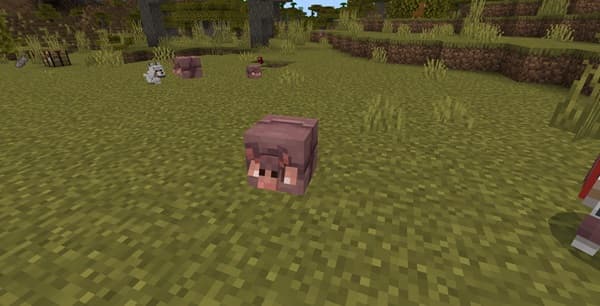 A person holding a phone with a blurred background.