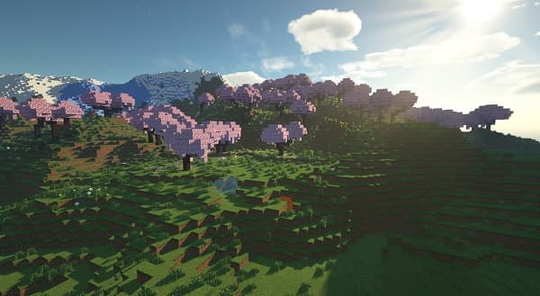 A green field with a few trees under a cloudy sky.