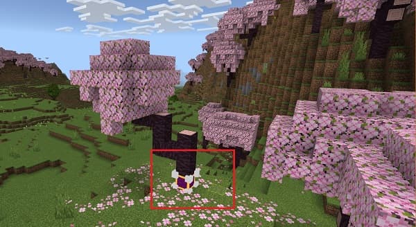 A large, modern, white mansion with many windows and balconies.