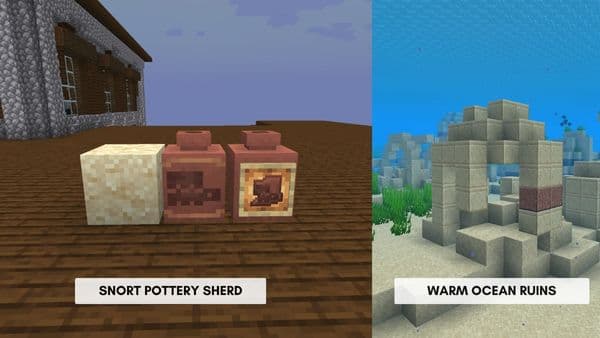 A close-up of a vibrant, healthy green plant with broad leaves, possibly a houseplant.