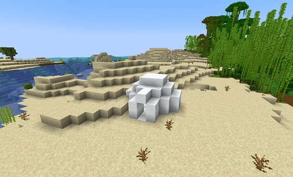 [No focus keyphrase provided - assuming informative purpose for a general image]