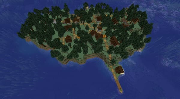 Empty white background.