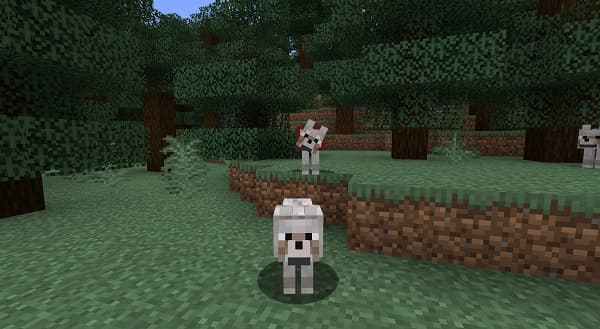 A pristine white kitchen with a large island and modern appliances.