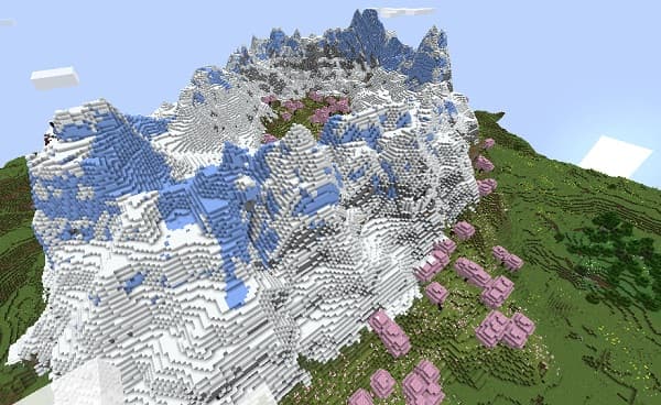 A lone dandelion growing in cracked asphalt.