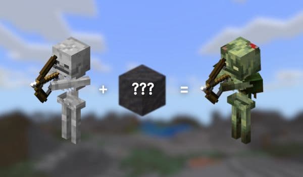 A simple, blank white background.