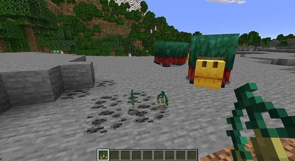 A person holding a large, ripe avocado.