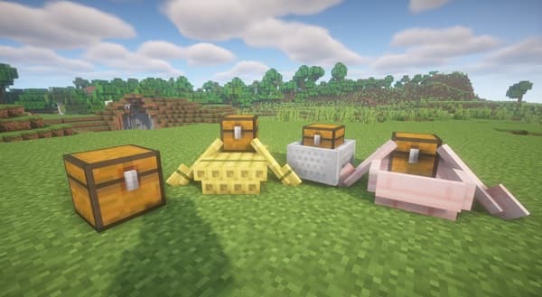 Empty, gray background.