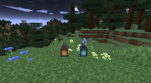 A close-up of a vibrant pink flower with yellow stamens.