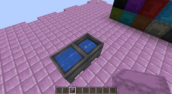 Brown dog looking out a car window.