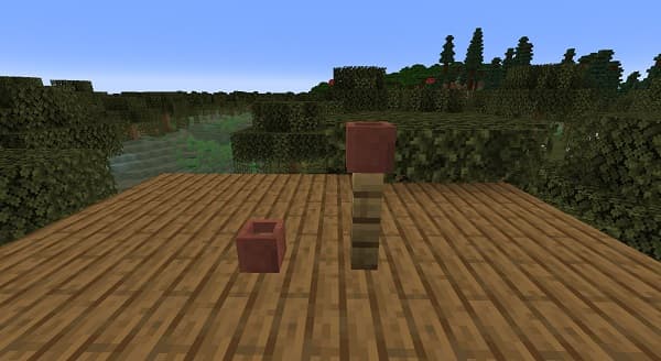 A close-up of a vibrant, healthy green plant with broad leaves, possibly a houseplant, thriving in natural light.