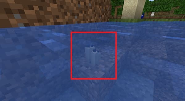 Empty office room with beige wall and grey carpet.