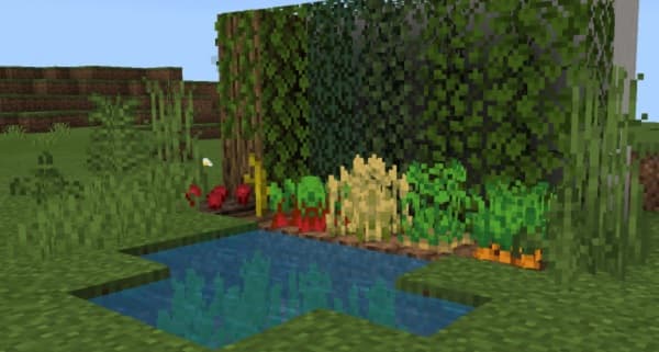 A young woman with dark hair and a colorful scarf smiles, looking into the camera.