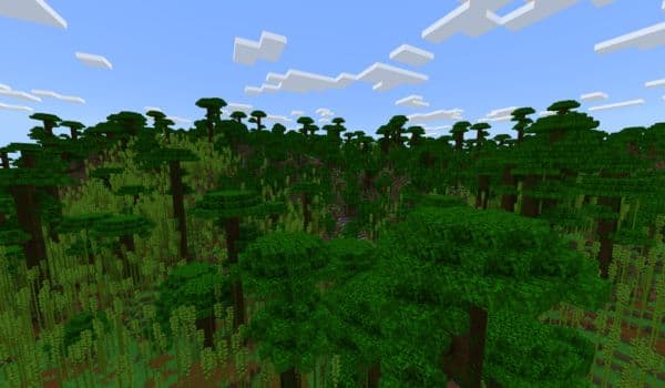 A sleek, modern white office chair with armrests and wheels.