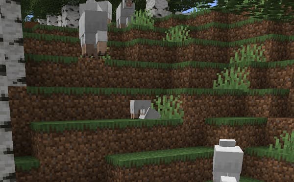 A young woman in a denim jacket and glasses smiles.