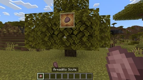 No image provided. Please provide an image to generate alt text.