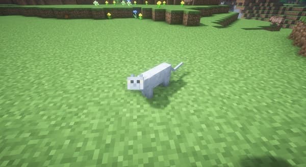Tame Cat Minecraft: Complete How-To Guide