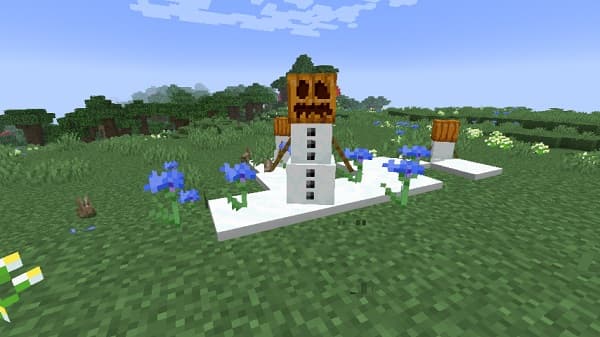 Close-up of a rustic wooden fence post with weathered textures.