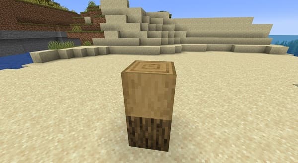 A vibrant green forest with sunlight filtering through the trees.