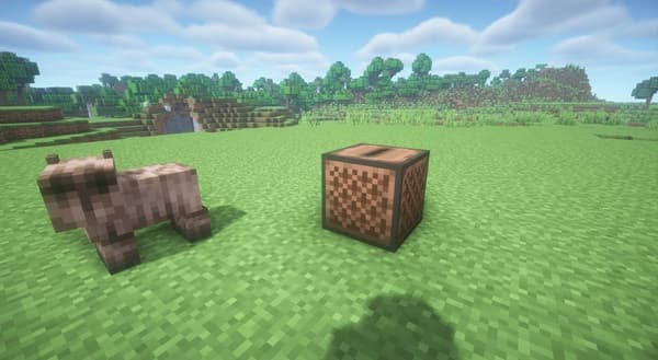 Green succulent plant close-up in a terracotta pot.