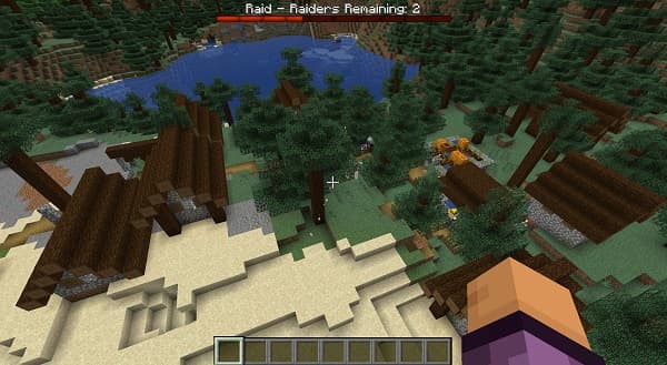 Close-up of a vibrant purple flower with delicate petals and a yellow center, surrounded by soft green foliage.