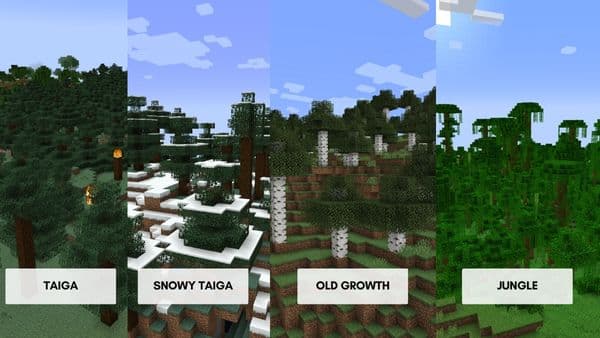 A minimalist, modern gray kitchen with light wood accents and a large island.