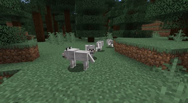 A person's hand holding a single, vibrant green apple.