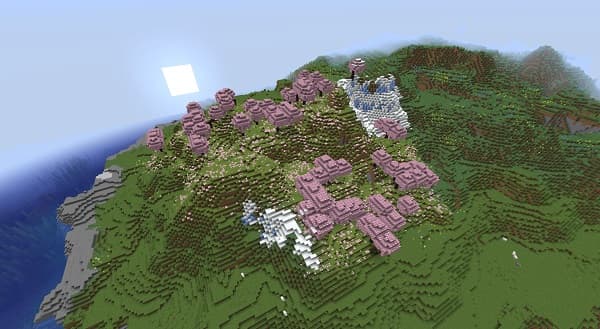 Empty office with a blue chair, plants, and a small table.