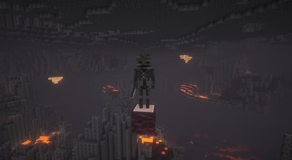 A close-up shot of a cat looking at the camera.