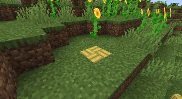 Empty office cubicle with a laptop and a plant, ready for remote work.