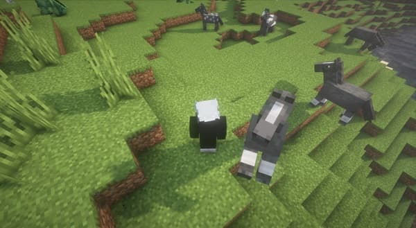 A blank, white square.