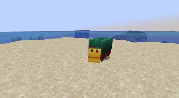 Modern website design with vibrant colors and engaging typography.