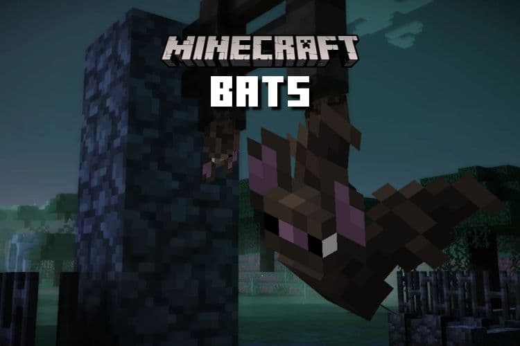 Bats in Minecraft: Everything You Need to Know