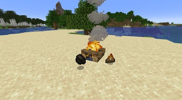 A close-up shot of a cat with a curious expression.