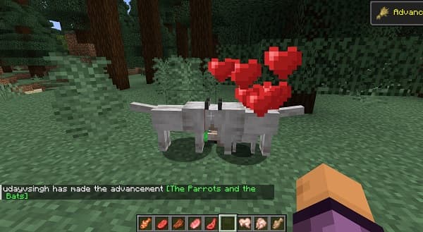 Empty office chair at a wooden desk with a computer and plants.