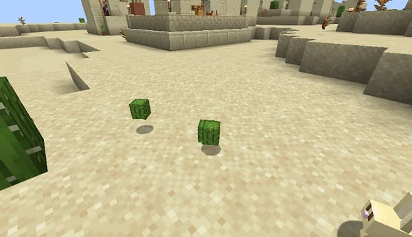 Image showing a placeholder or missing content.