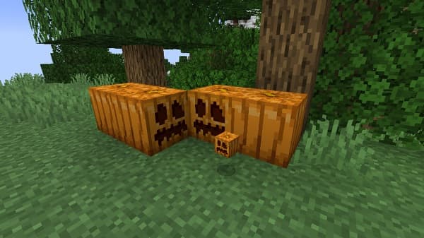 Empty alt text: Image does not contain any relevant information or purpose.