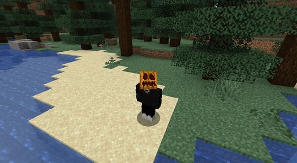 A pristine, white blank page, ready for content.