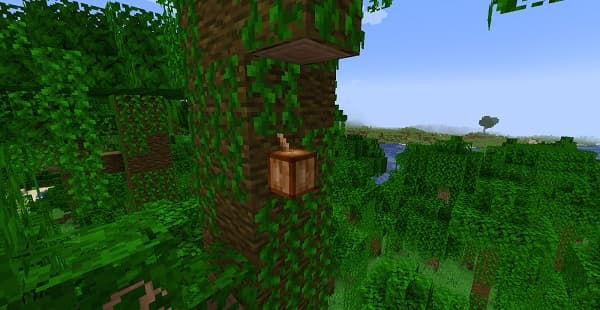 No labels detected from image analysis. Without a clear image or purpose, I cannot generate an effective alt text. Please ...