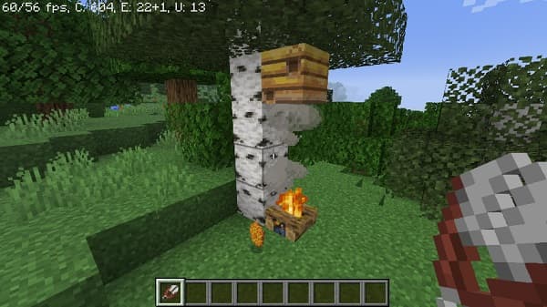 Brown and white cow grazing in a green pasture.