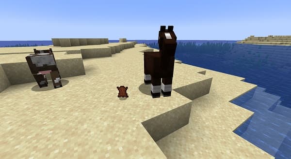 Blue car on a paved road with blurred green trees in the background.