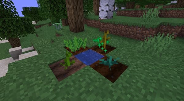 An empty room with white walls and a light-colored wood floor.