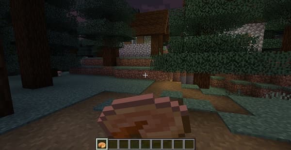 Young woman reading a book with a cup of coffee.