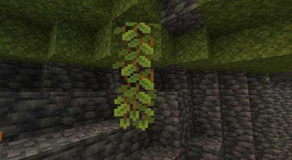 A person in a black shirt and white pants stands on a dark stage, illuminated by a spotlight from the left.