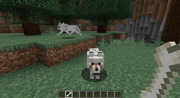 Black and white abstract pattern.