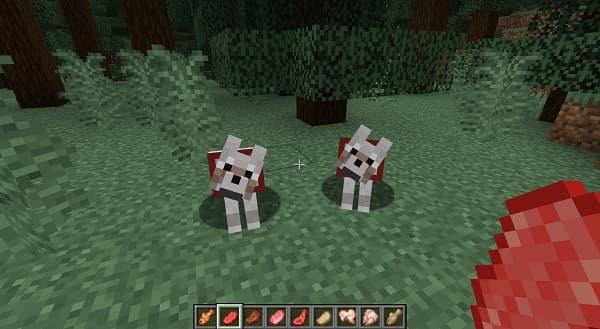 Empty office chairs in an empty modern office building.