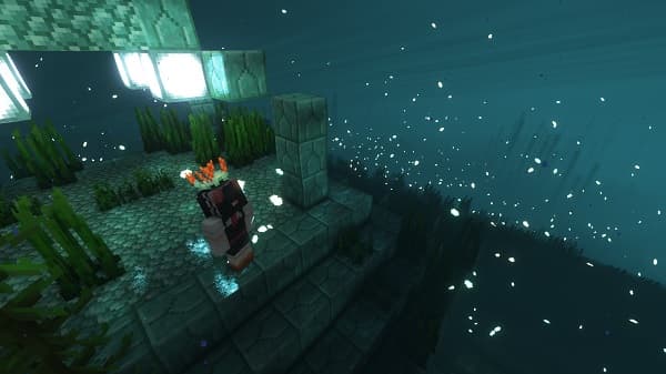 A close-up of a vibrant green succulent plant with pointed leaves, perfect for a home garden.