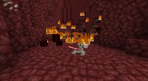 A young woman with curly hair smiles as she looks at her phone in a brightly lit room.